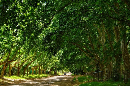 Boulevard de Villa del Totoral